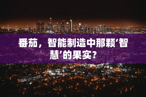 番茄，智能制造中那颗‘智慧’的果实？