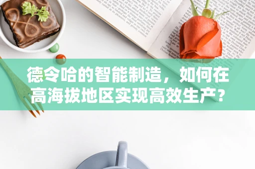 德令哈的智能制造，如何在高海拔地区实现高效生产？