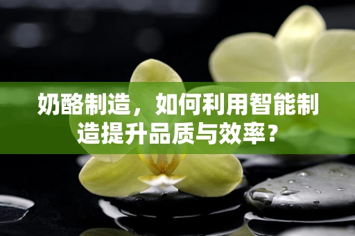 奶酪制造，如何利用智能制造提升品质与效率？
