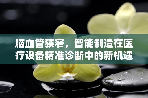 脑血管狭窄，智能制造在医疗设备精准诊断中的新机遇？