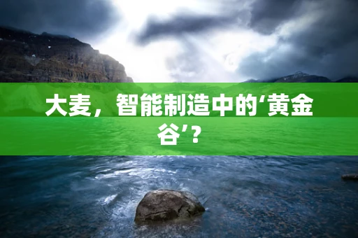 大麦，智能制造中的‘黄金谷’？