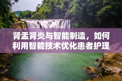 肾盂肾炎与智能制造，如何利用智能技术优化患者护理流程？