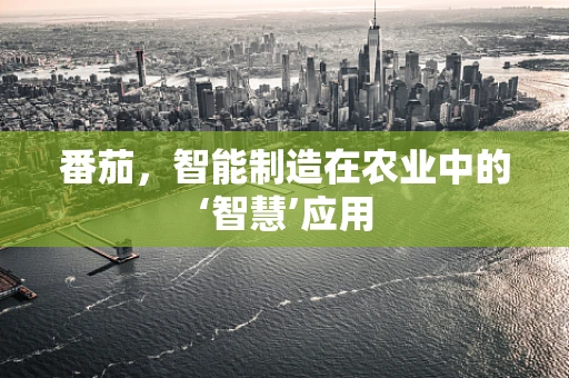 番茄，智能制造在农业中的‘智慧’应用