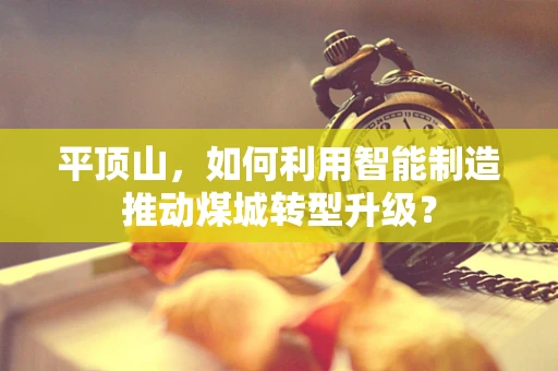 平顶山，如何利用智能制造推动煤城转型升级？