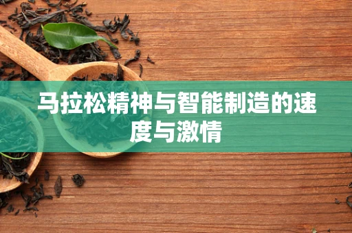 马拉松精神与智能制造的速度与激情