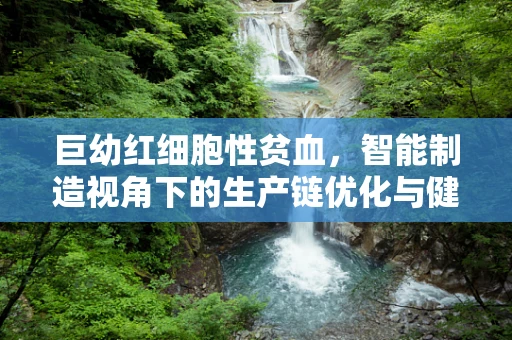 巨幼红细胞性贫血，智能制造视角下的生产链优化与健康保障