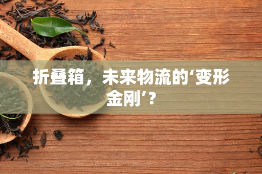 折叠箱，未来物流的‘变形金刚’？