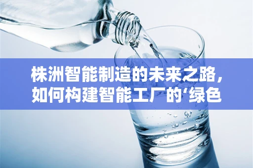 株洲智能制造的未来之路，如何构建智能工厂的‘绿色引擎’？