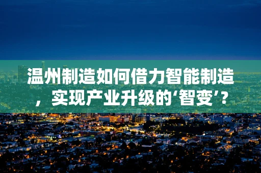 温州制造如何借力智能制造，实现产业升级的‘智变’？