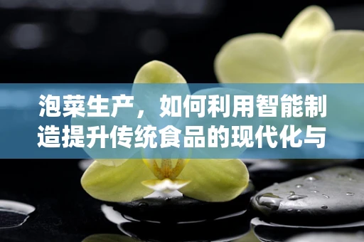 泡菜生产，如何利用智能制造提升传统食品的现代化与效率？