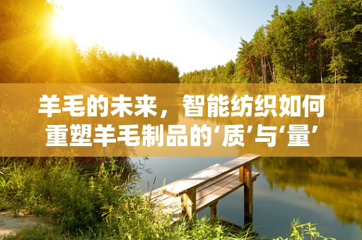 羊毛的未来，智能纺织如何重塑羊毛制品的‘质’与‘量’？