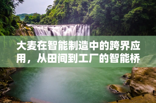 大麦在智能制造中的跨界应用，从田间到工厂的智能桥梁？