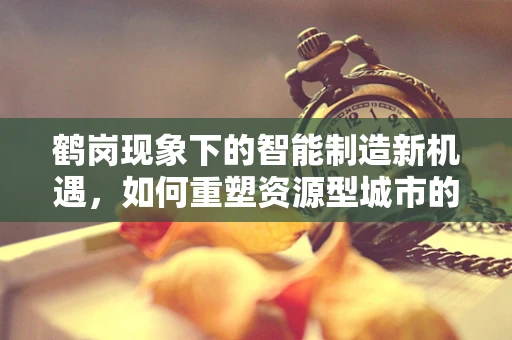 鹤岗现象下的智能制造新机遇，如何重塑资源型城市的工业未来？