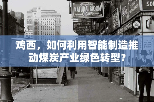 鸡西，如何利用智能制造推动煤炭产业绿色转型？