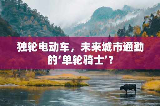 独轮电动车，未来城市通勤的‘单轮骑士’？