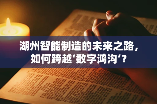 湖州智能制造的未来之路，如何跨越‘数字鸿沟’？