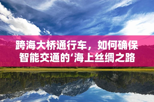 跨海大桥通行车，如何确保智能交通的‘海上丝绸之路’畅通无阻？