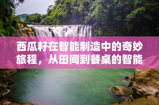 西瓜籽在智能制造中的奇妙旅程，从田间到餐桌的智能追踪与优化