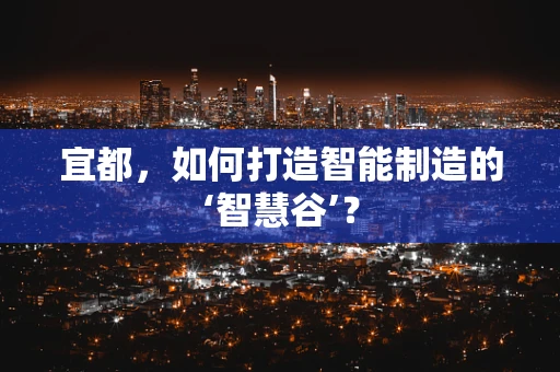 宜都，如何打造智能制造的‘智慧谷’？