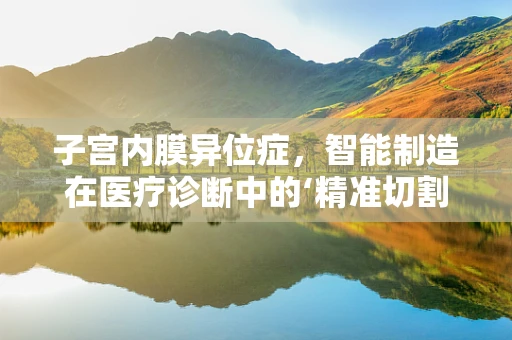 子宫内膜异位症，智能制造在医疗诊断中的‘精准切割’？