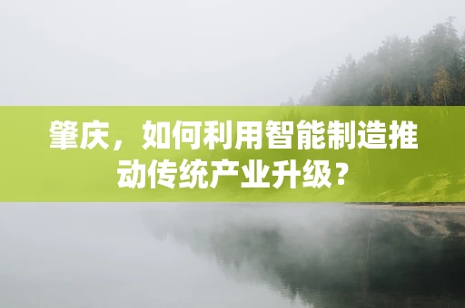 肇庆，如何利用智能制造推动传统产业升级？