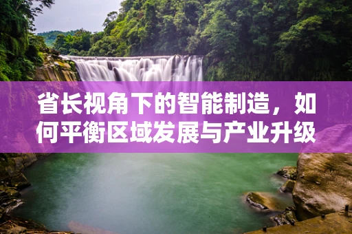 省长视角下的智能制造，如何平衡区域发展与产业升级？