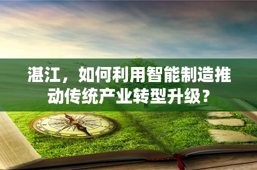 湛江，如何利用智能制造推动传统产业转型升级？