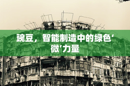 豌豆，智能制造中的绿色‘微’力量