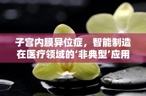 子宫内膜异位症，智能制造在医疗领域的‘非典型’应用？