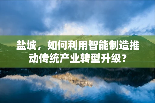 盐城，如何利用智能制造推动传统产业转型升级？