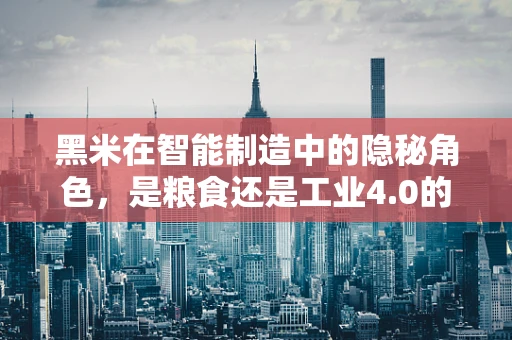 黑米在智能制造中的隐秘角色，是粮食还是工业4.0的秘密武器？