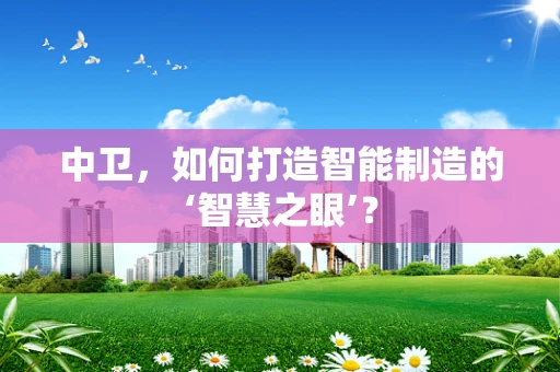 中卫，如何打造智能制造的‘智慧之眼’？