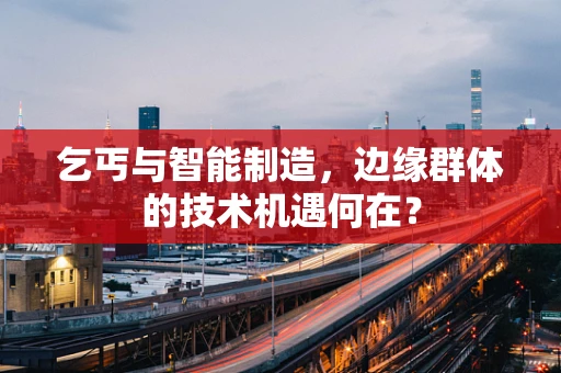 乞丐与智能制造，边缘群体的技术机遇何在？