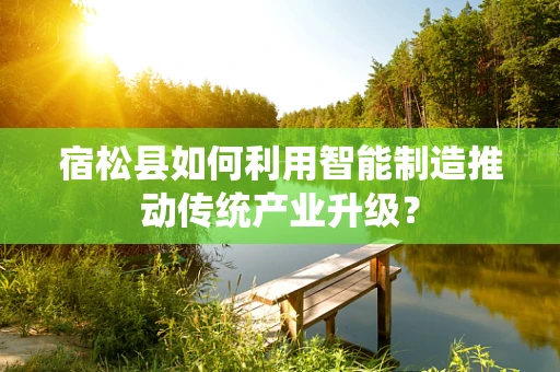 宿松县如何利用智能制造推动传统产业升级？