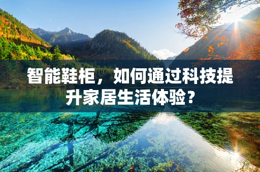 智能鞋柜，如何通过科技提升家居生活体验？