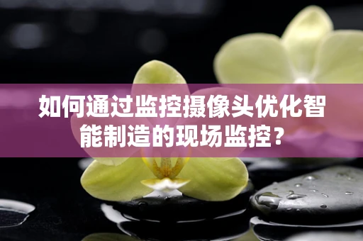 如何通过监控摄像头优化智能制造的现场监控？