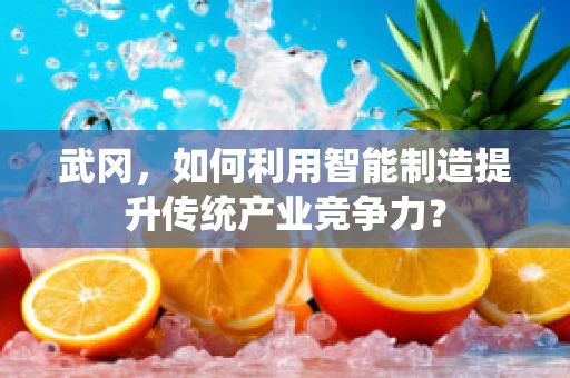 武冈，如何利用智能制造提升传统产业竞争力？