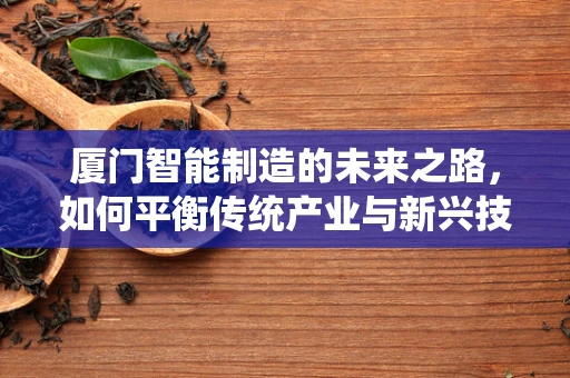 厦门智能制造的未来之路，如何平衡传统产业与新兴技术的融合？