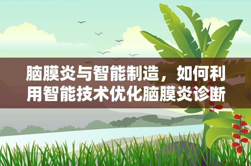 脑膜炎与智能制造，如何利用智能技术优化脑膜炎诊断流程？
