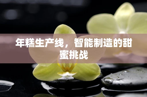 年糕生产线，智能制造的甜蜜挑战
