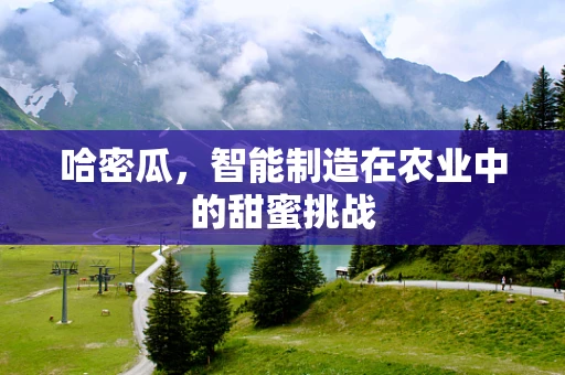 哈密瓜，智能制造在农业中的甜蜜挑战