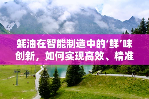 蚝油在智能制造中的‘鲜’味创新，如何实现高效、精准的包装与配送？