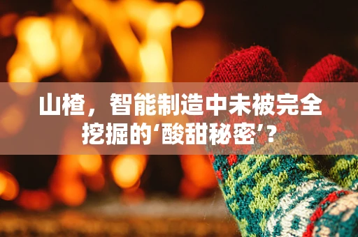 山楂，智能制造中未被完全挖掘的‘酸甜秘密’？