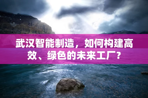 武汉智能制造，如何构建高效、绿色的未来工厂？