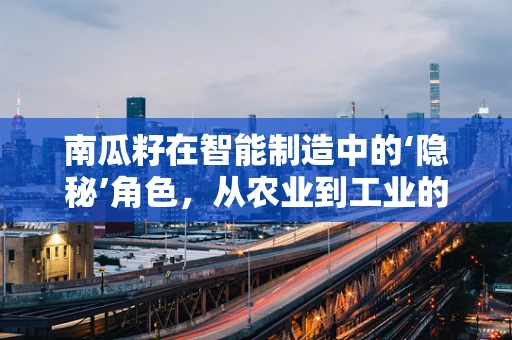 南瓜籽在智能制造中的‘隐秘’角色，从农业到工业的跨界创新？
