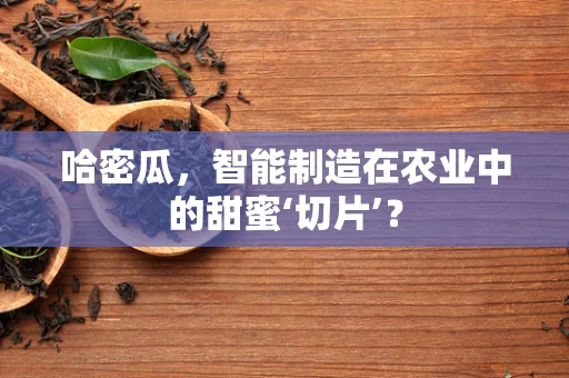 哈密瓜，智能制造在农业中的甜蜜‘切片’？