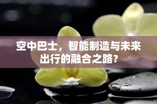 空中巴士，智能制造与未来出行的融合之路？
