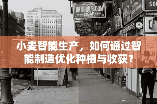 小麦智能生产，如何通过智能制造优化种植与收获？