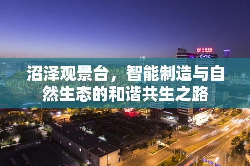 沼泽观景台，智能制造与自然生态的和谐共生之路
