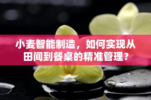 小麦智能制造，如何实现从田间到餐桌的精准管理？
